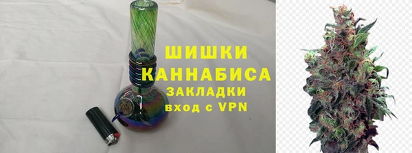 spice Карпинск