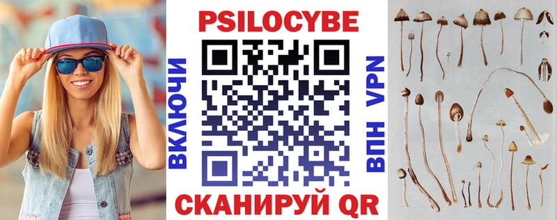 Псилоцибиновые грибы Cubensis  Обнинск 